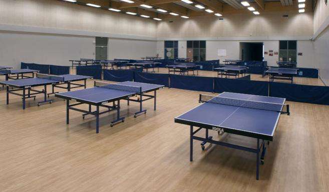 乒乓球木地板 乒乓球木地板