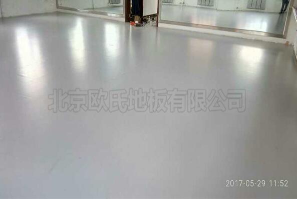 內(nèi)蒙林業(yè)文工團(tuán)舞蹈地膠成功案例 內(nèi)蒙林業(yè)文工團(tuán)舞蹈地膠成功案例