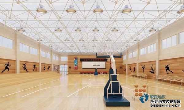 比賽場館籃球場地板代理商